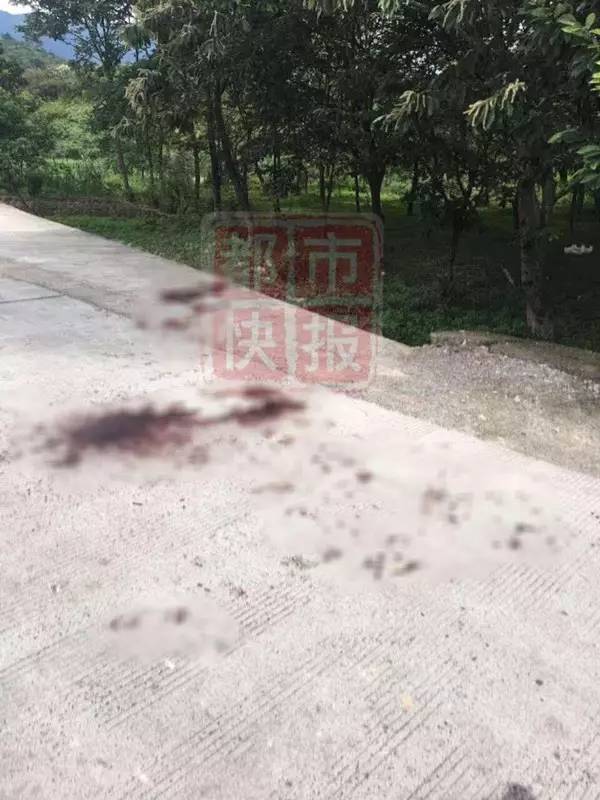 男子当街杀害一对母子 为何村民都说杀错人了(组图) - 4