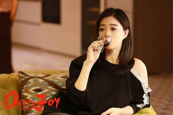 欢乐颂2热播倒计时!备受期待的精彩续集即将震撼荧屏