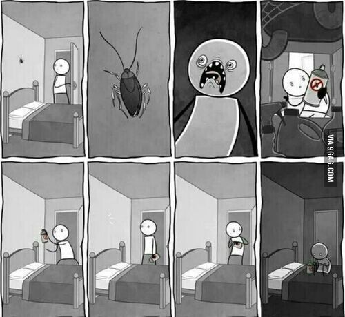 [FUN来了]南方蟑螂太可怕 北方的狼被吓成狼狗