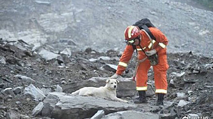 视频直击：四川新磨村发生泥石流