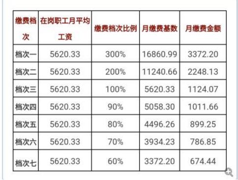 沈阳市调整灵活就业人员养老保险缴费基数_辽