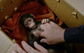 《猩球崛起3》曝新混剪视频 传奇猩族领袖霸气归来