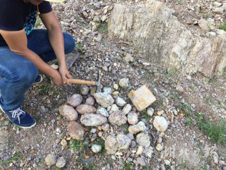 云游戏板块回暖：巨人网络领涨主力资金流出1627亿元！