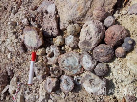 沉寂亿万年后火星火山的秘密：比想象中更加复杂的地质活动