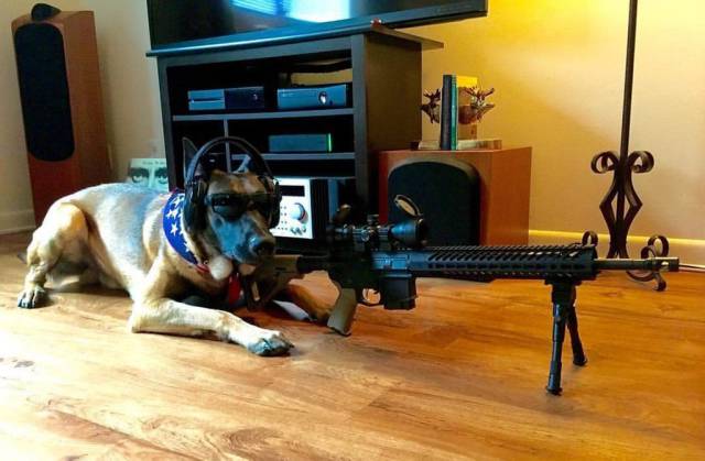 [囧图]模特:我们中出了一个叛徒,还是光头