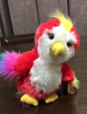 赵丽颖批发苍梧鸟?谢娜等圈内好友人手一只