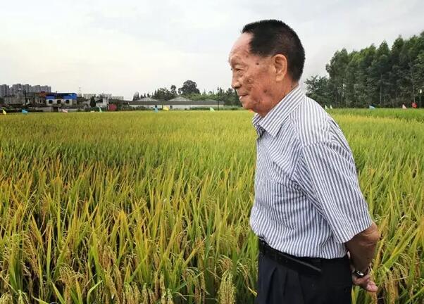 袁隆平"豪宅"首度曝光 87岁的他还有新梦想