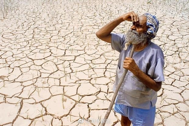 美国研究：30年气候变暖导致印度至少5.93万人自杀