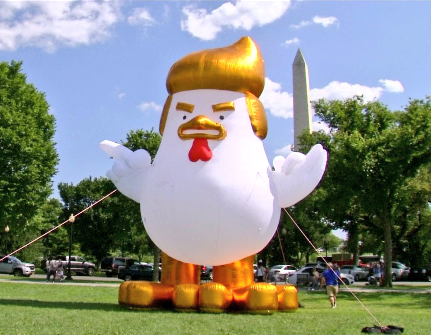 白宫门前突现巨大充气鸡 与特朗普造型一致