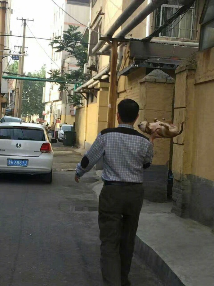 fun来了:这个骗子又丑又渣 像他的rap又尴又尬 fun来了:这个骗子又丑又渣 像他的rap又尴又尬图片