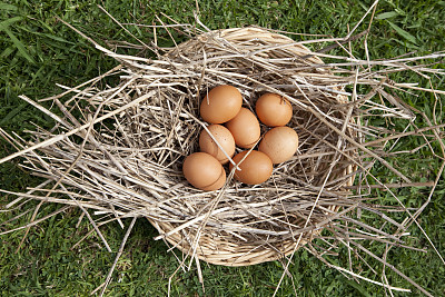 养生警惕：这6种蛋，吃了会伤身丧命