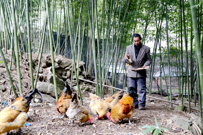 留坝县有多少人口_留坝县公安局长刘宏