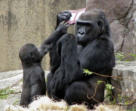fun来了:大妈倒了我们扶 我们倒了被大妈顺走手机 fun来了:大妈倒了我们扶 我们倒了被大妈顺走手机图片