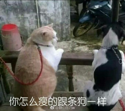 fun来了:请讨厌的人跟我保持距离 最好阴阳两隔 fun来了:请讨厌的人跟我保持距离 最好阴阳两隔图片