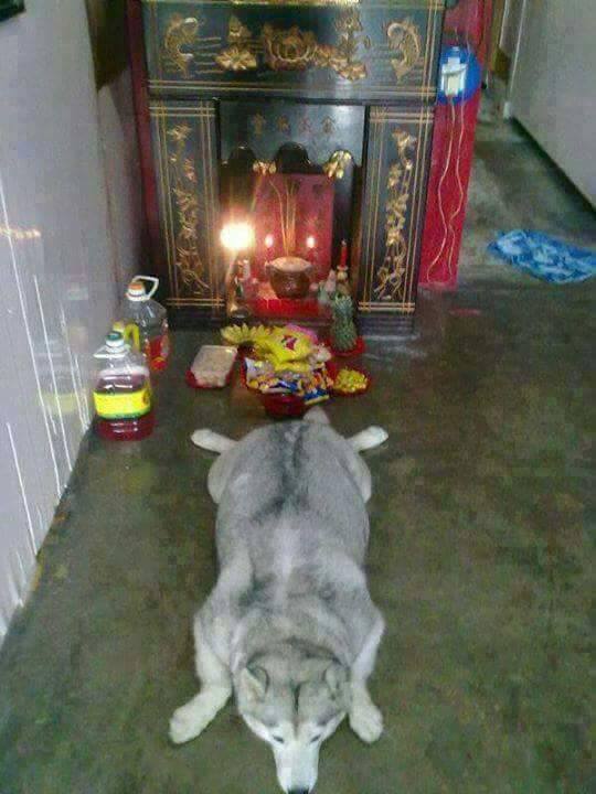 fun来了:你混吃等死别人熬夜工作 所以他猝死了 fun来了:你混吃等死别人熬夜工作 所以他猝死了图片