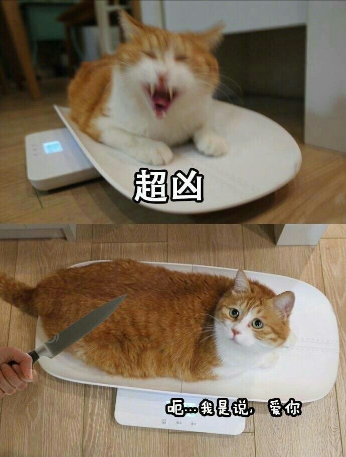 fun来了:女生别买iPhoneX 想玩手机还得现补妆 fun来了:女生别买iPhoneX 想玩手机还得现补妆图片