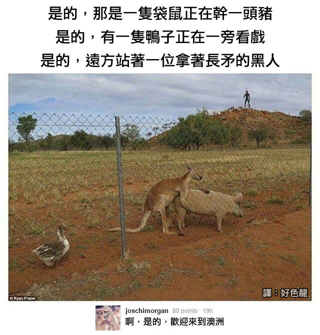 fun来了:你混吃等死别人熬夜工作 所以他猝死了 fun来了:你混吃等死别人熬夜工作 所以他猝死了图片