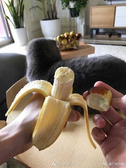fun来了:每天吃这么多你真的想瘦吗?很享受啊 fun来了:每天吃这么多你真的想瘦吗?很享受啊图片