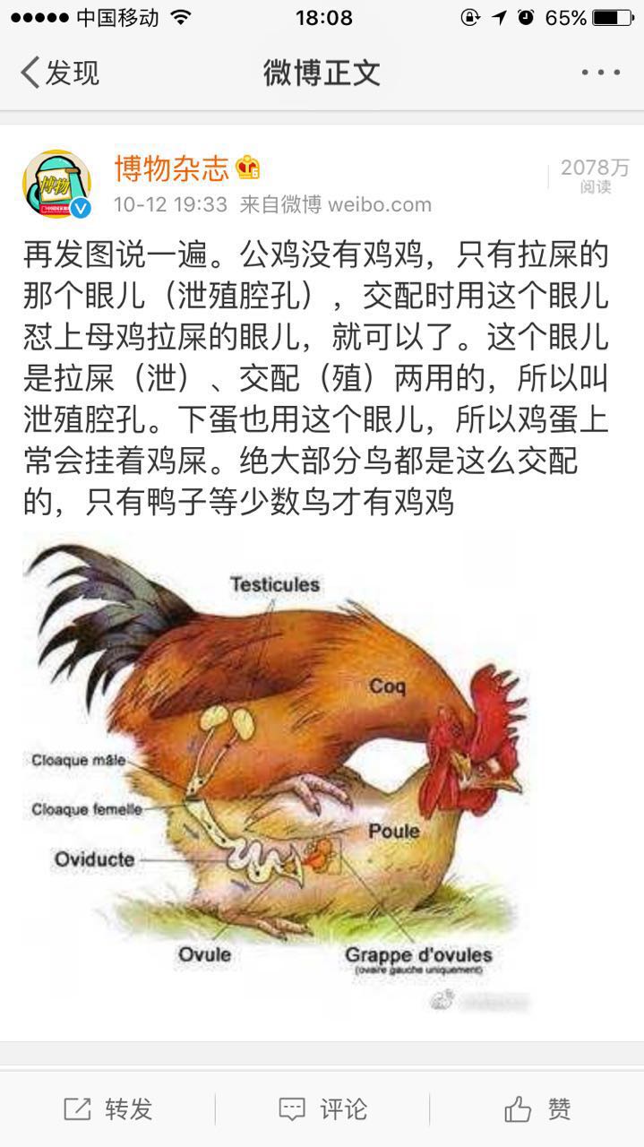 fun来了:为了赚回份子钱 单身狗给自己办30大寿 fun来了:为了赚回份子钱 单身狗给自己办30大寿图片