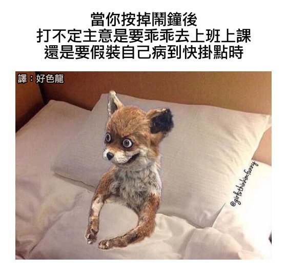 fun来了:低调大佬又添一人|一些品牌的扎心真相 fun来了:低调大佬又添一人|一些品牌的扎心真相图片