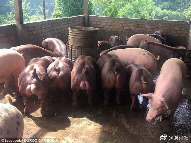 fun来了:忍一时越想越气 退一步越想越亏 fun来了:忍一时越想越气 退一步越想越亏图片
