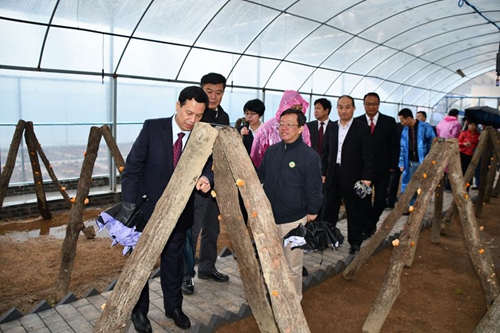 首届柞水木耳文化节隆重开幕