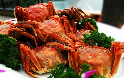 94b022b8df25ecf_size75_w500_h318.jpg