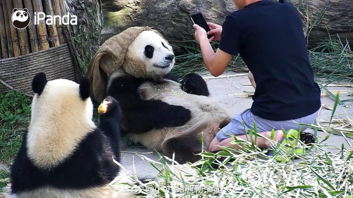 fun来了:低调大佬又添一人|一些品牌的扎心真相 fun来了:低调大佬又添一人|一些品牌的扎心真相图片