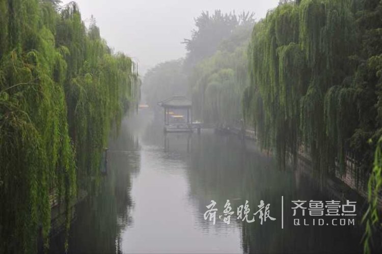 烟雨蒙蒙似江南,济南护城河薄雾如梦似幻!