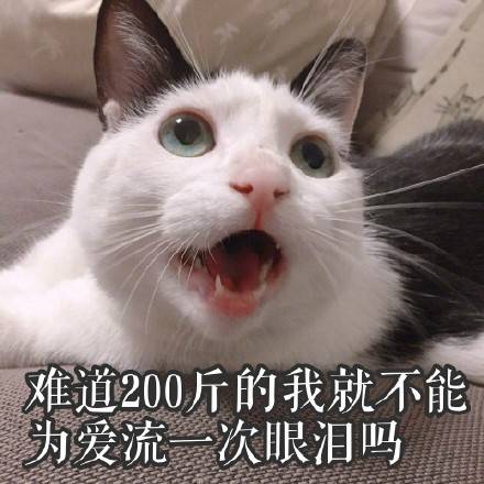 fun来了:熬夜那么爽怎么能算熬 上班才该叫熬班 fun来了:熬夜那么爽怎么能算熬 上班才该叫熬班图片