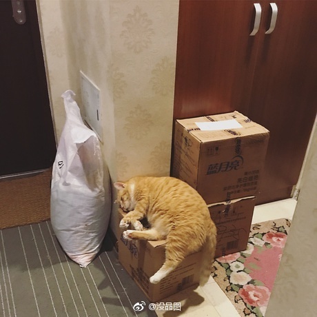fun来了:求老天爷降温慢点 我没钱买衣服了 fun来了:求老天爷降温慢点 我没钱买衣服了图片