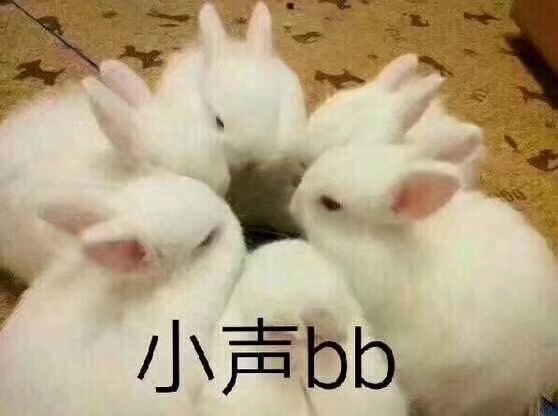 fun来了:当代青年就像蒲公英 风一吹头发就没了 fun来了:当代青年就像蒲公英 风一吹头发就没了图片
