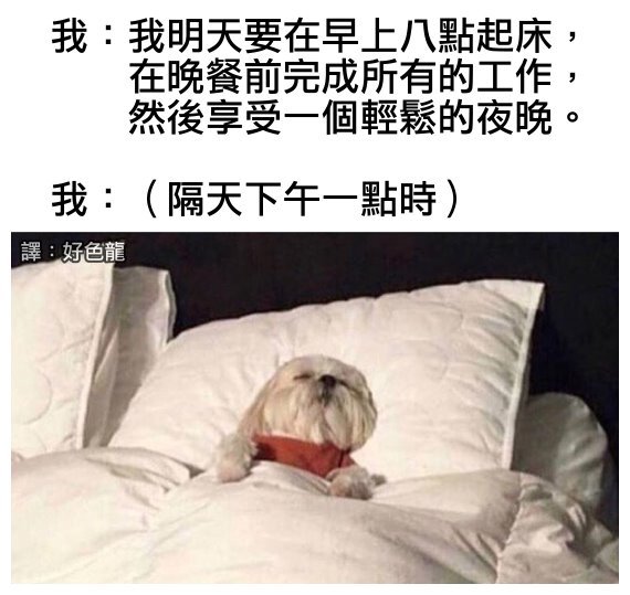 fun来了:吃得苦中苦还是普通人|她死于商业互吹 fun来了:吃得苦中苦还是普通人|她死于商业互吹图片