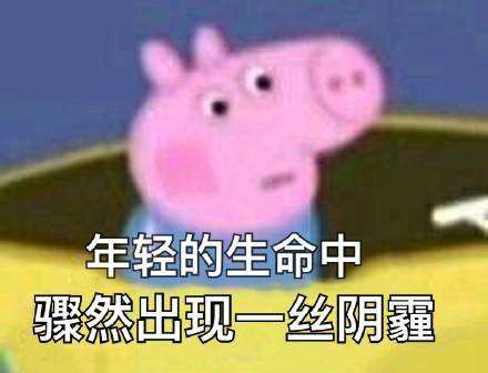 fun来了:维吾尔族的秘密是啥|您的快递正在健身 fun来了:维吾尔族的秘密是啥|您的快递正在健身图片