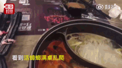 fun来了:火锅才是最养生的食物|让座引发的血案 fun来了:火锅才是最养生的食物|让座引发的血案图片