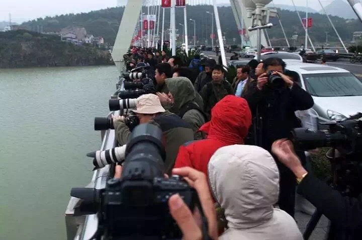 让丽水摄影节成为人人乐于参与、处处洋溢摄影的盛会_凤凰旅游