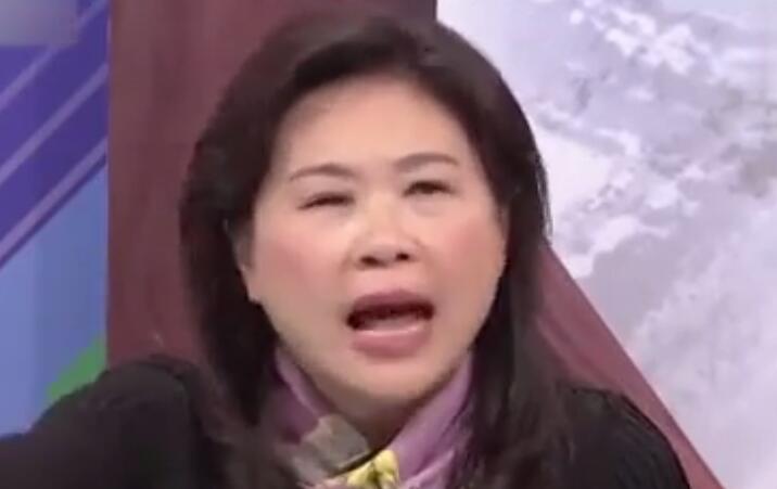 台湾说大陆2017_视频在线观看-爱奇艺搜索