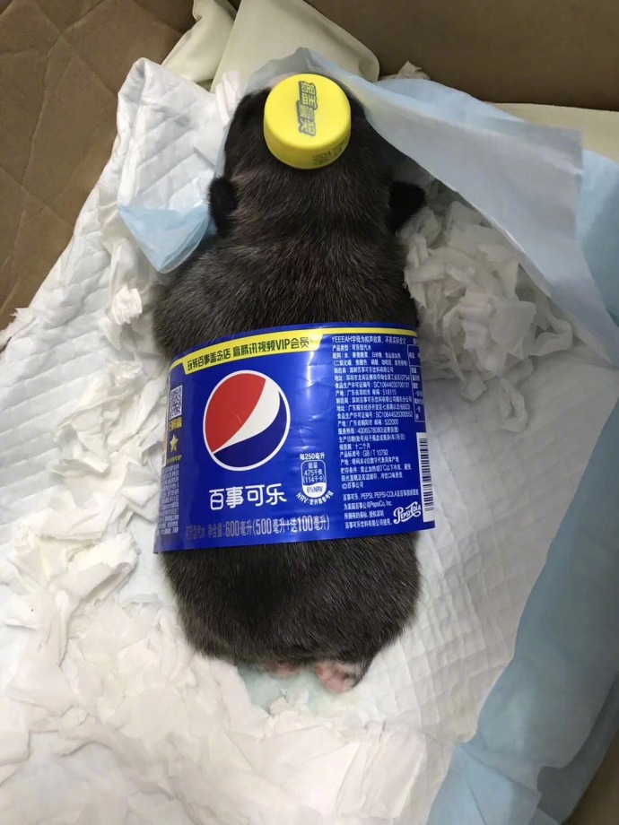 fun来了:维吾尔族的秘密是啥|您的快递正在健身 fun来了:维吾尔族的秘密是啥|您的快递正在健身图片
