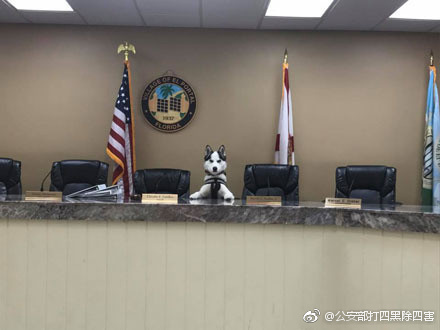 fun来了:维吾尔族的秘密是啥|您的快递正在健身 fun来了:维吾尔族的秘密是啥|您的快递正在健身图片