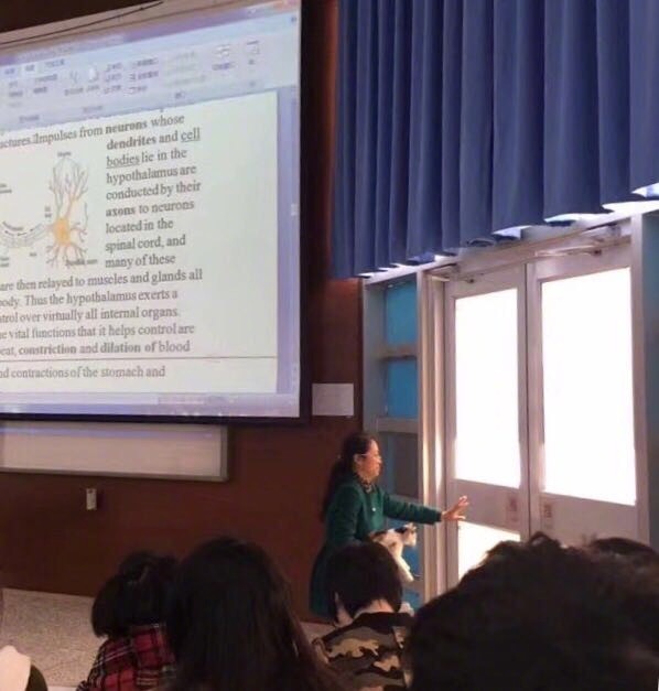 fun来了:维吾尔族的秘密是啥|您的快递正在健身 fun来了:维吾尔族的秘密是啥|您的快递正在健身图片