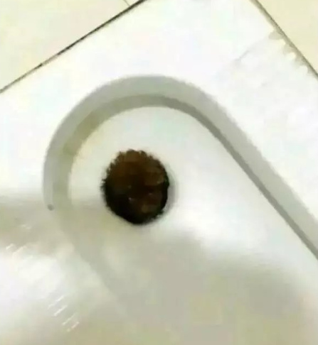 fun来了:维吾尔族的秘密是啥|您的快递正在健身 fun来了:维吾尔族的秘密是啥|您的快递正在健身图片