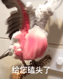 fun来了:夫妻相是接吻造成的 证明丑是会传染的 fun来了:夫妻相是接吻造成的 证明丑是会传染的图片