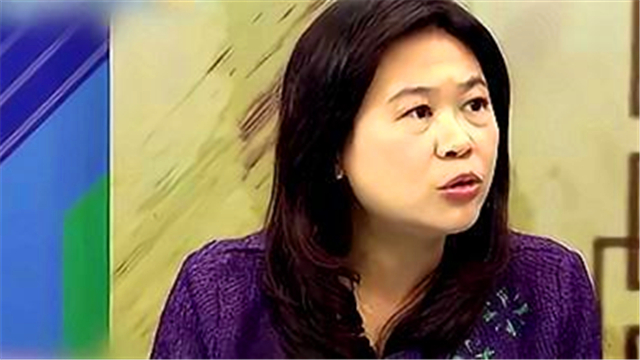 台湾政论节目大陆2017