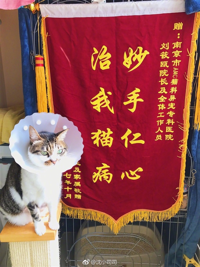 fun来了:我连穷都不怕还怕冷吗|模特学功夫防摔 fun来了:我连穷都不怕还怕冷吗|模特学功夫防摔图片