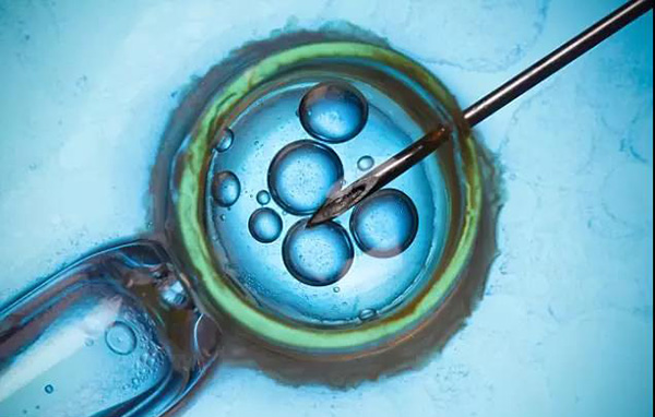 用皮肤细胞就能制造出精子卵子来生娃？