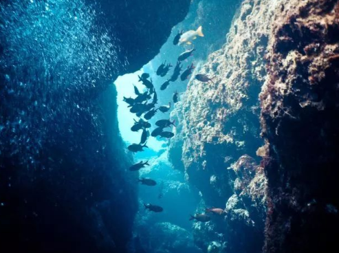 潜入深海 从这10处开启另一个世界的旅行