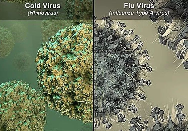 钟南山全面解读流感：病毒变异，3月卷土重来！