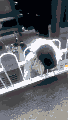 壁纸 动物 狗 狗狗 280_494 竖版 竖屏 手机 gif 动态图 动图