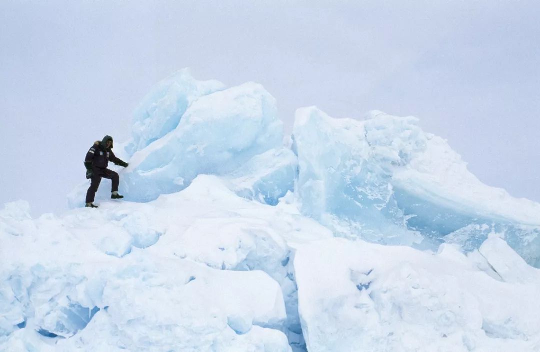 迄今只有两万人去过的北极 原来被那么多人误解了