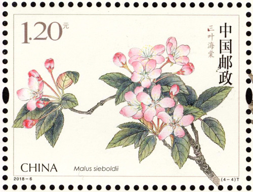 淮水安澜,海棠依旧:《海棠花》特种邮票首发相